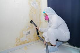 Mold Remediation for Rental Properties in West Union, OH